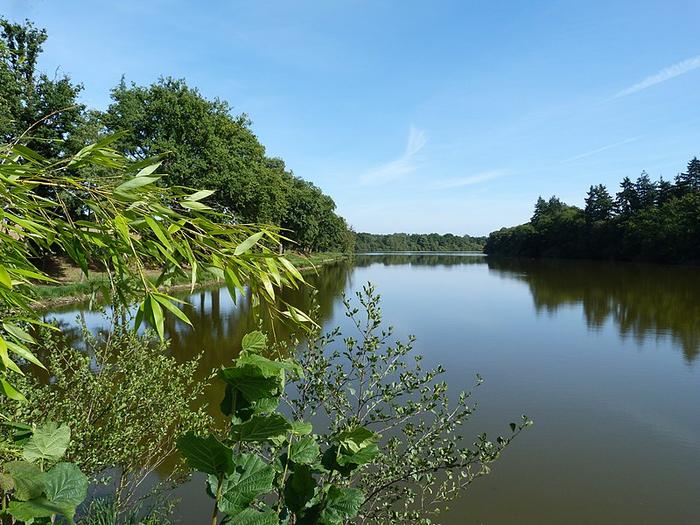 Argentré-du-Plessis-étang du Moulin aux moines