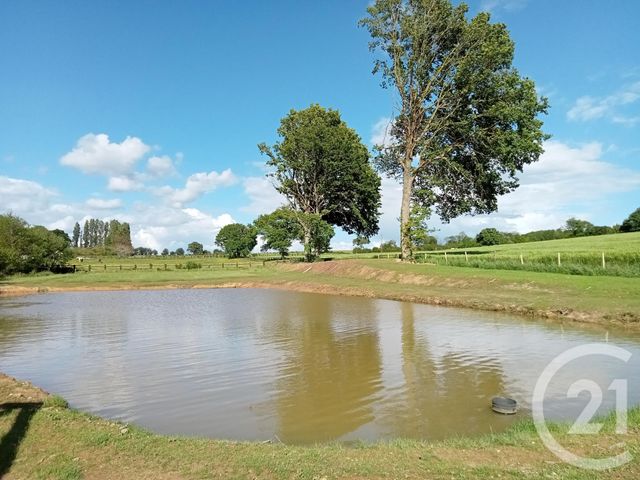 Afficher la photo en grand terrain à vendre - 4180.0 m2 - VITRE - 35 - BRETAGNE - Century 21 A.I.T