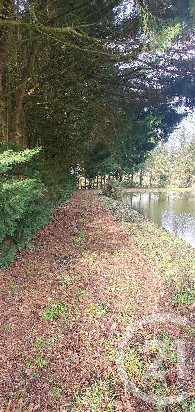 terrain à vendre - 3488.0 m2 - CUILLE - 53 - PAYS-DE-LOIRE - Century 21 A.I.T